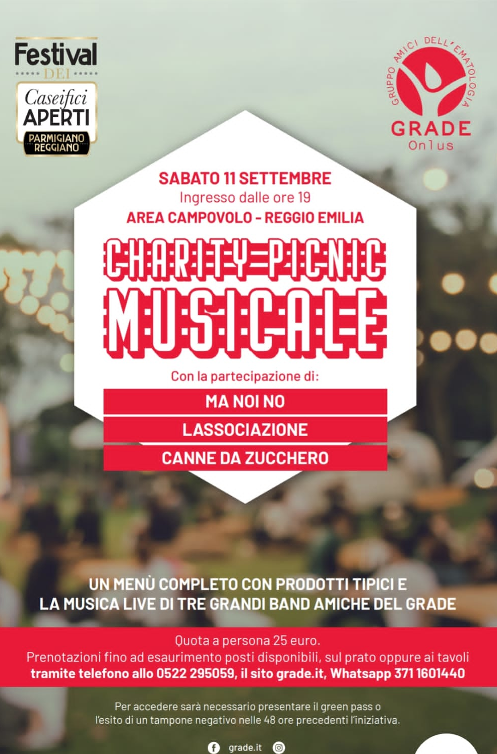 Charity picnic musicale al Campovolo